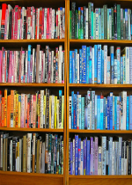 Lambda Literary Review