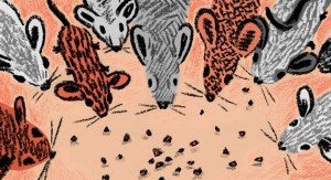 Meags Fitzgerald BP Monday