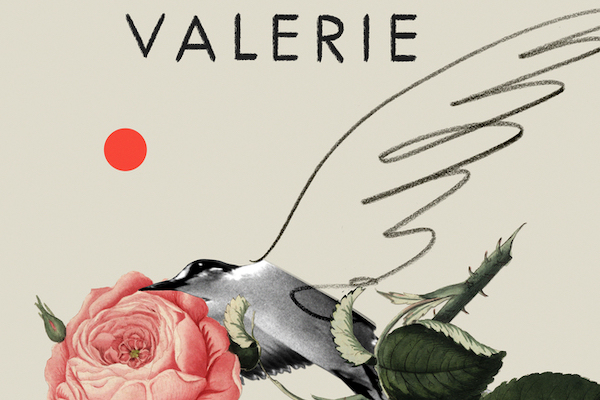 Valerie by Sara Stridsberg