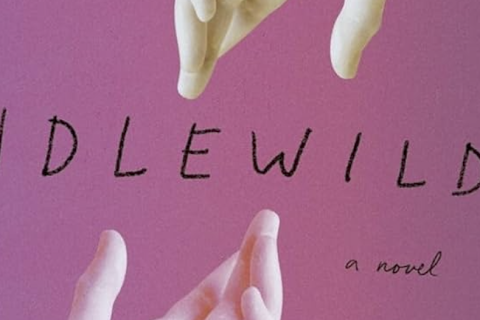Cropped cover image of Idlewild by James Frankie Thomas; two hands reach for each other from top and bottom across a pink landscape.